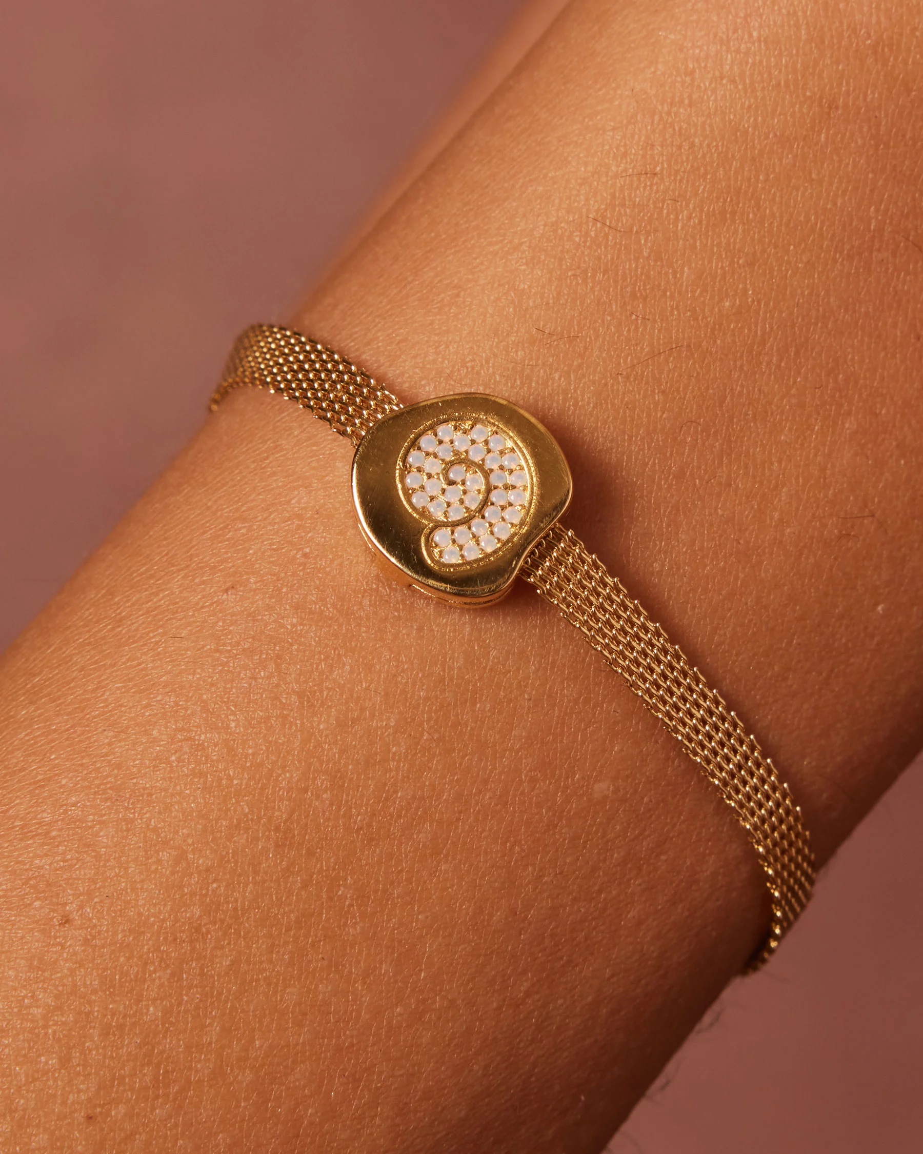 Charm Clip Concha Fósil - Image 3